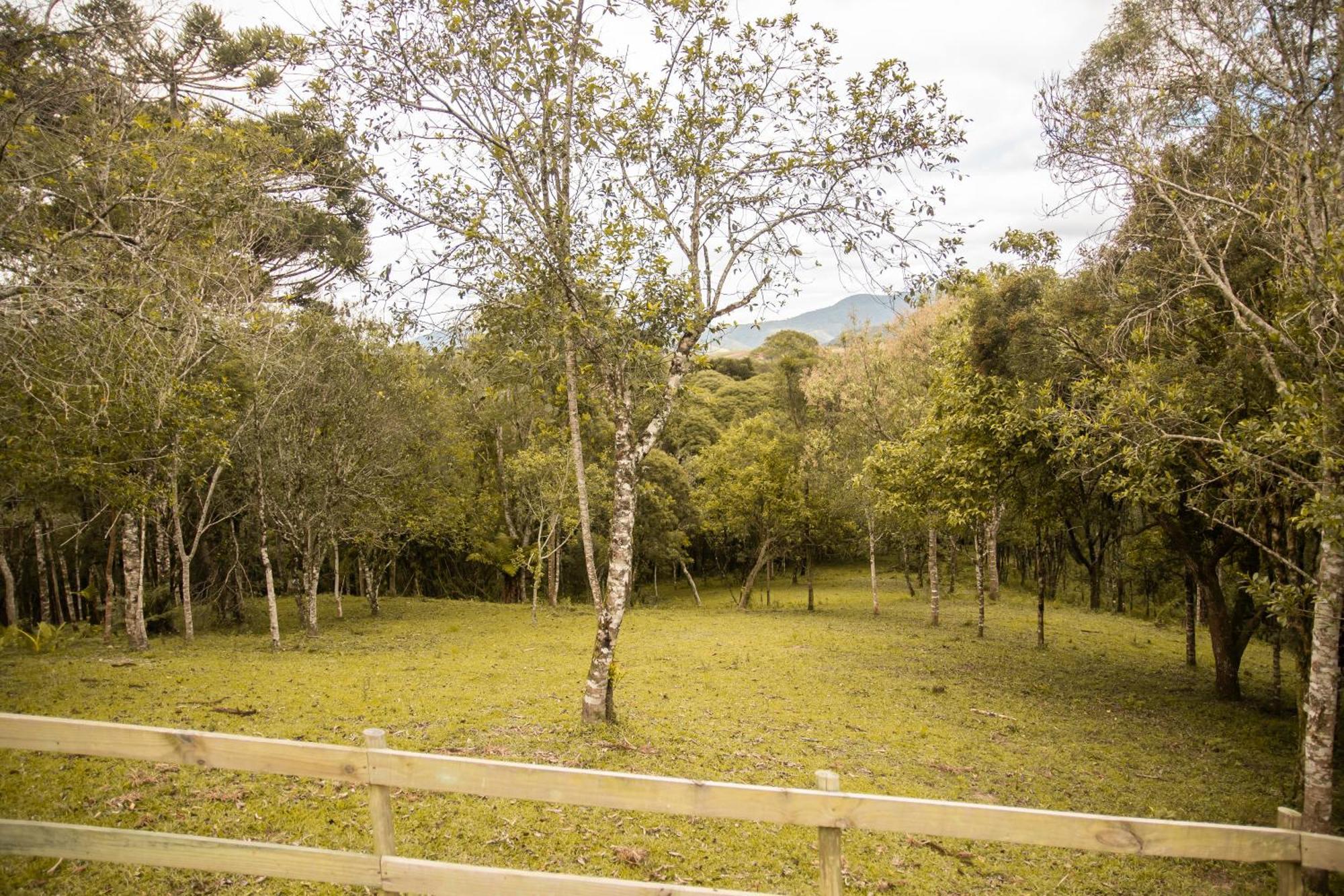 Cabana Com Hidromassagem Bom Retiro  Exterior photo